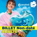 nausicaa billet adulte tarif reduit 2026 apace loisirs