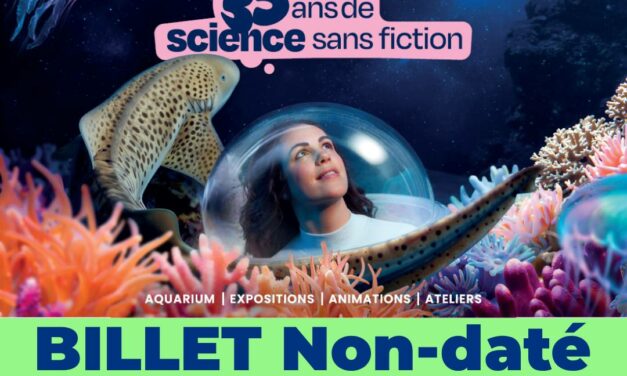 NAUSICAA – E-Billet Enfant 3 à 12 ans – Boulogne Sur Mer