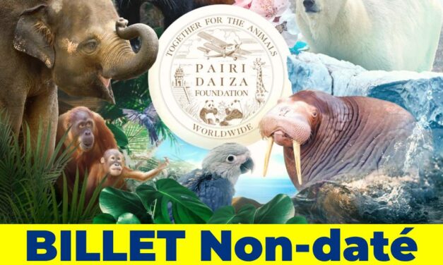 PAIRI DAIZA – Billet non daté Adulte (> 12 ans) – E-billet