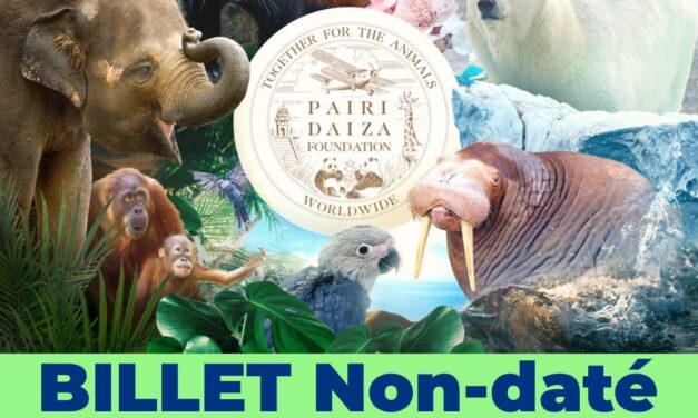 PAIRI DAIZA – Billet non daté Enfant (3-11 ans) – E-billet