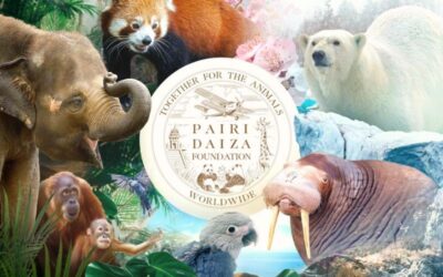 PAIRI DAIZA – e-billets