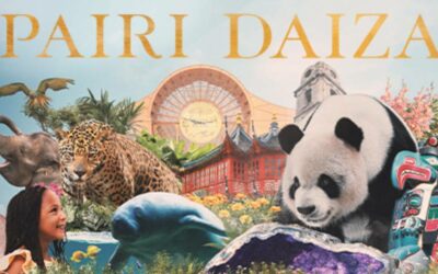 PAIRI DAIZA – e-billets