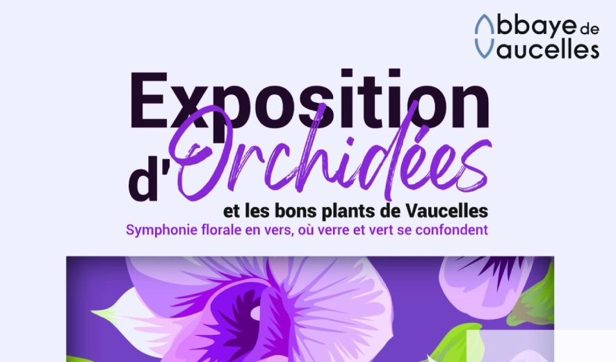 exposition orchidees vaucelles auvers sur oise voyage en autocar apace loisirs