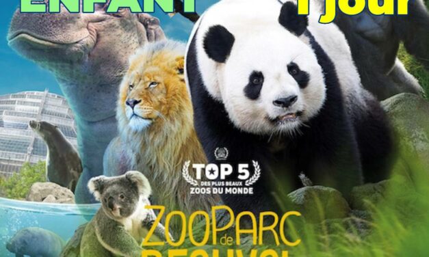ZOO PARC DE BEAUVAL 1 jour non daté Enfant 3 à 10 ans – E-Billet