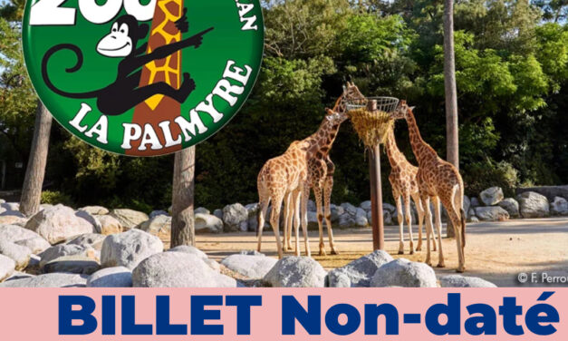 ZOO de LA PALMYRE – Adulte