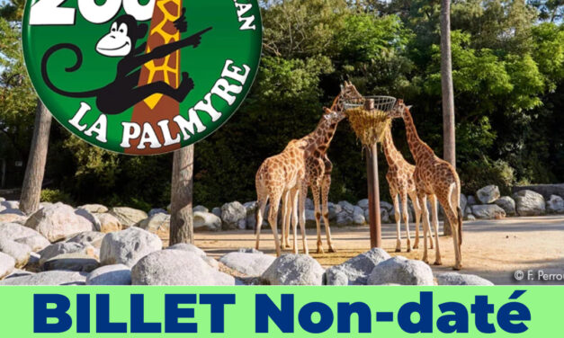 ZOO de LA PALMYRE – Enfant