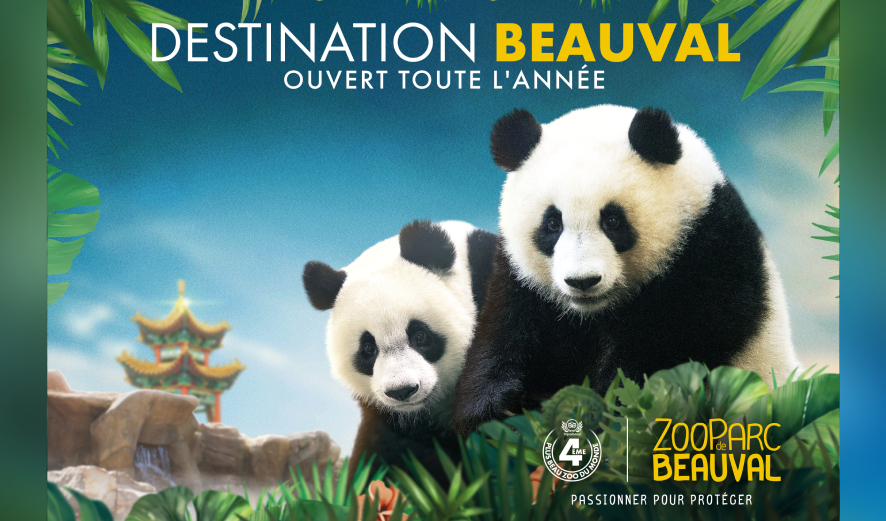 saison 2024 zoo parc de beauval billetterie tarif réduit apace loisirs