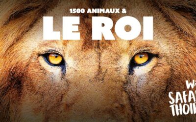 Thoiry, Zoosafari – Source naturelle d’aventures !